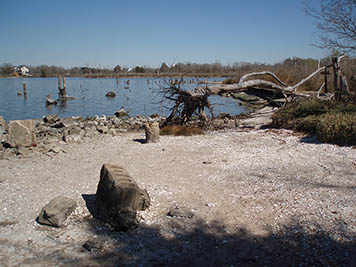 A view of the existing shoreline with rubble from prior construction at the Baytown Nature Center.