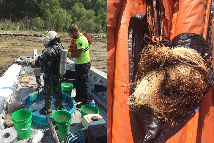 Left: A professional diver gets cleaned up on a boat. Right: Oiled pom pom on top of orange boom.