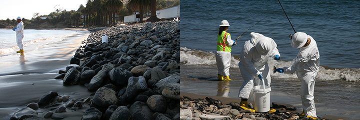 Left: Scientist fishing for samples on a cobble beach with a bucket. Right: Two people in tyvek suits putting a fish in a bucket while someone fishes behind them.